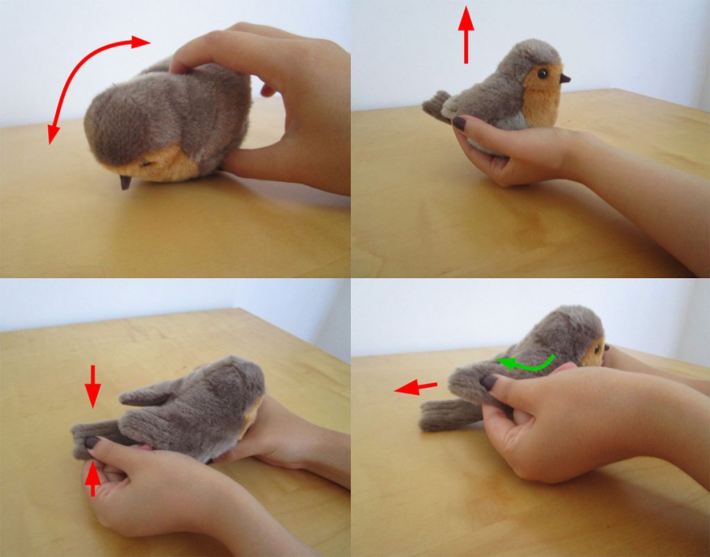 Four different poses of a plush bird, illustrating how to interact with it: 1 tilting that mimics feeding, 2) lifting, 3) pushing the tail, 4) lengthening the wing